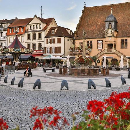 Studio Cosy A Molsheim Calme, Centre-Ville Et Acces Strasbourg מראה חיצוני תמונה