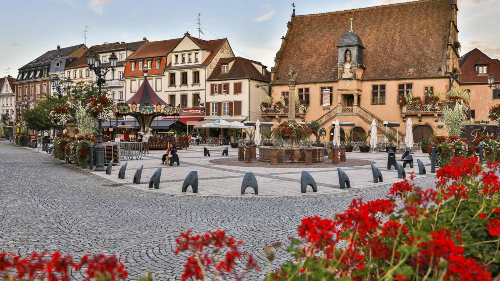 Studio Cosy A Molsheim Calme, Centre-Ville Et Acces Strasbourg מראה חיצוני תמונה